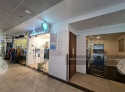 Loft @ Nathan (D10), Apartment #477209811
